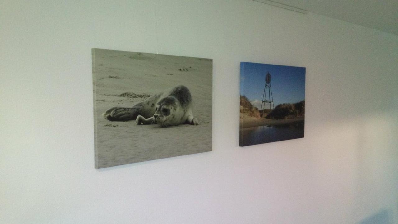 Uut In Thuus 21A Buren (Friesland) Exterior foto